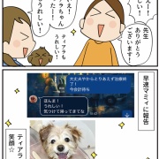 飼い犬ティアラが病気になった話⑨手術の結果