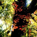 ＝佐藤太の監督雑記＝