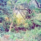 ったく、次から次へと