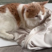 ワークマンで買った日焼け防止ウェアと疲労回復ウェア