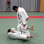 イワシの柔術生活