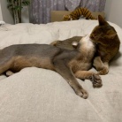 ちび子とぼくちん