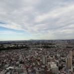 江戸川の畔（ほとり）