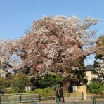 IzumiのSwing Diary