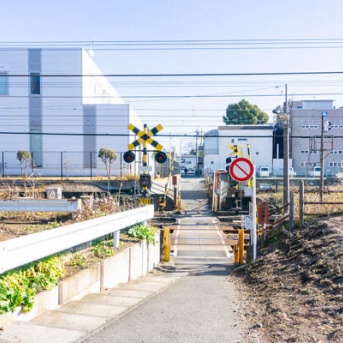 神奈川県内の公立中学校で政令指定都市を除くと一番生徒数が多い大和市内の中学校はどこ？【やまとクイズ】