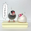 ちょっとヤバい奴