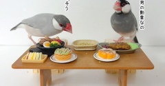 とりあえずの休戦