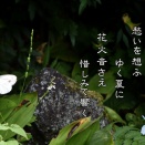 「残暑」