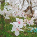 高校受験で追試験を受けた娘☆③