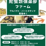 『爬虫類倶楽部ファームスタッフ募集のお知らせ』の画像