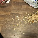 3月17日(火)！耐える