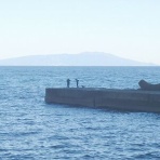 東伊豆 釣り情報の宿