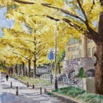 dbgの気ままつらつら