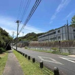 小笠原父島　オガツアーのブログ３