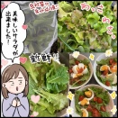 嬉しい！プランターのレタス収穫でサラダが大人気！？