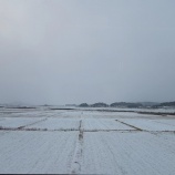 『福島は郡山に行きました』の画像