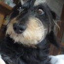 手のかかる子ほど可愛い