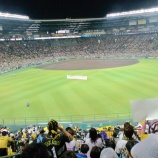 『甲子園最終戦～'10.9月⑤阪神vs.横浜（矢野選手引退セレモニー）』の画像