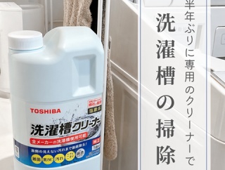 半年ぶりに洗濯槽の掃除と大好きなレモンケーキ