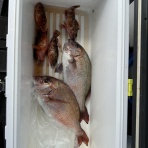 釣り筏　清福丸