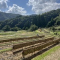 �����Ȱ��桢�����Ʋ����ʼ�Ż�����ޤ줿2����