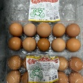 第74回十日市こども食堂おてらごはんのご報告。