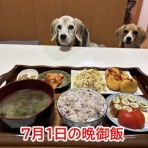 ガオだらけな日々　