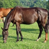 『投薬13日目』の画像