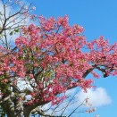 入札って、こういうことだったんだ…