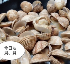 どうも引っかかること