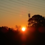 『辰→巳　バトンリレー！』の画像