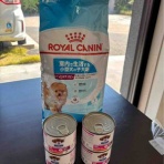 Go forward! forわんDog