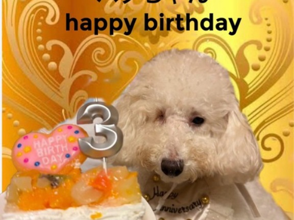 ハグちゃん、happy birthday🫶🏻🩷