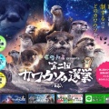 83 individuals from 39 gardens entered the "Animals AZ presents 2nd otter election", an event that determines the ranking of popular otters