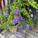 昔の会社仲間と飲み会計画中となる♪