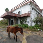オバサンヘアーでゴーゴー