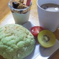 蝉の鳴き声、聞こえてきました