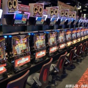 【超悲報】パチンカスさん、これを「ぶどう」と言い張る…