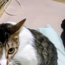 レオ君と未來ちゃん