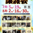【2-2】長崎＆佐賀イベント・お出かけ情報！　7月3日（金）〜9日（木）