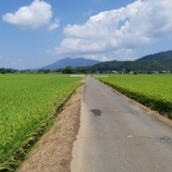 『不動峠ランチ』の画像