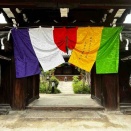 🏳️‍🌈明日から乗教寺報恩講です🏳️‍🌈4/27,,28昼2時から4時頃まで（仮設駐車場の案内）