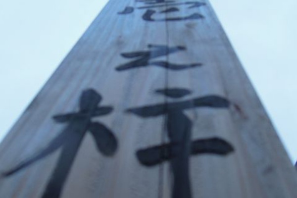建築の神様へ 建築的人生 建築の神様へ 建築的人生