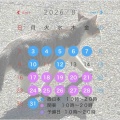 ７・８月 講習日程のお知らせ🌻