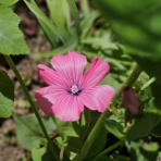 季節を追いかけて…