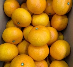 3/30（月）営業します