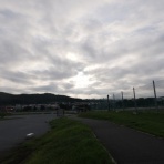 柴わんこと暮らす日々