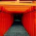 【神奈川】風邪や喉の腫れを治すというお稲荷さん、効きすぎて怖いレベル…