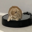 悪くない休憩場所