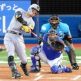 【阪神】佐藤輝明33号２ラン　２冠はほぼ手中　３度目打点「80」クリアで自己最多更新も視野